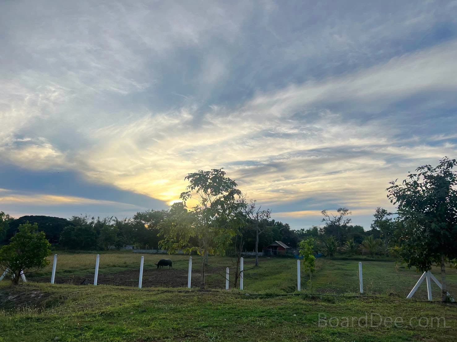 Selling Half-Story House with Over 4 Rai of Land, Natural Atmosphere, Quiet, Good Air Quality, Suitable for Residence, Home Garden, or Investment