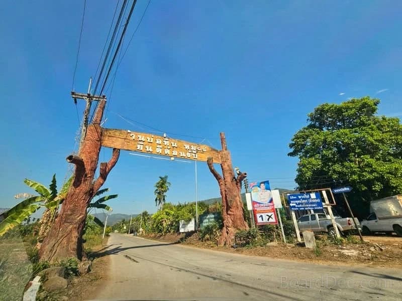 Land for sale with a Monthong durian orchard, 12 trees, and 1 rambutan tree
