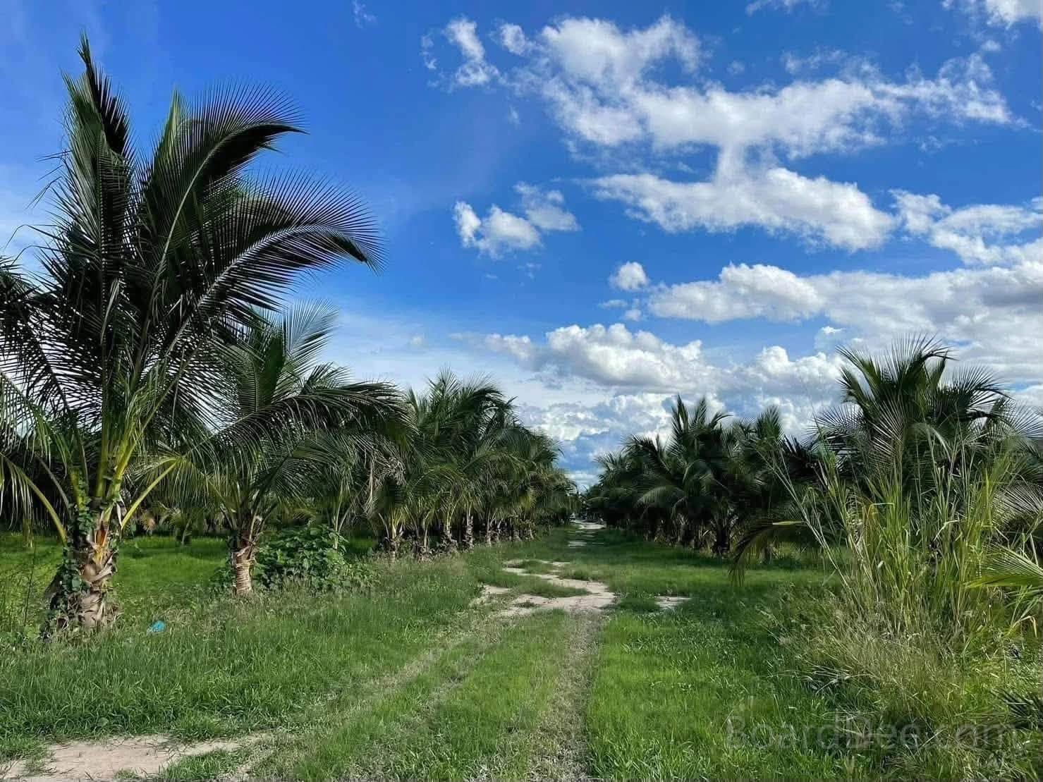 Land with House for Sale, 28 Rai, Tambon Huai Haeng, Amphoe Ban Rai, Uthai Thani – Mountain View, Move-in Ready, Business-Ready