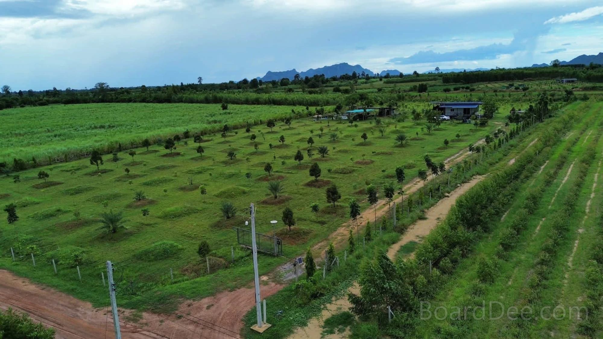 Land with House for Sale, 24 Rai, Bordering a Stream and Weir, with Fruit Orchard and Mixed Deciduous Forest
